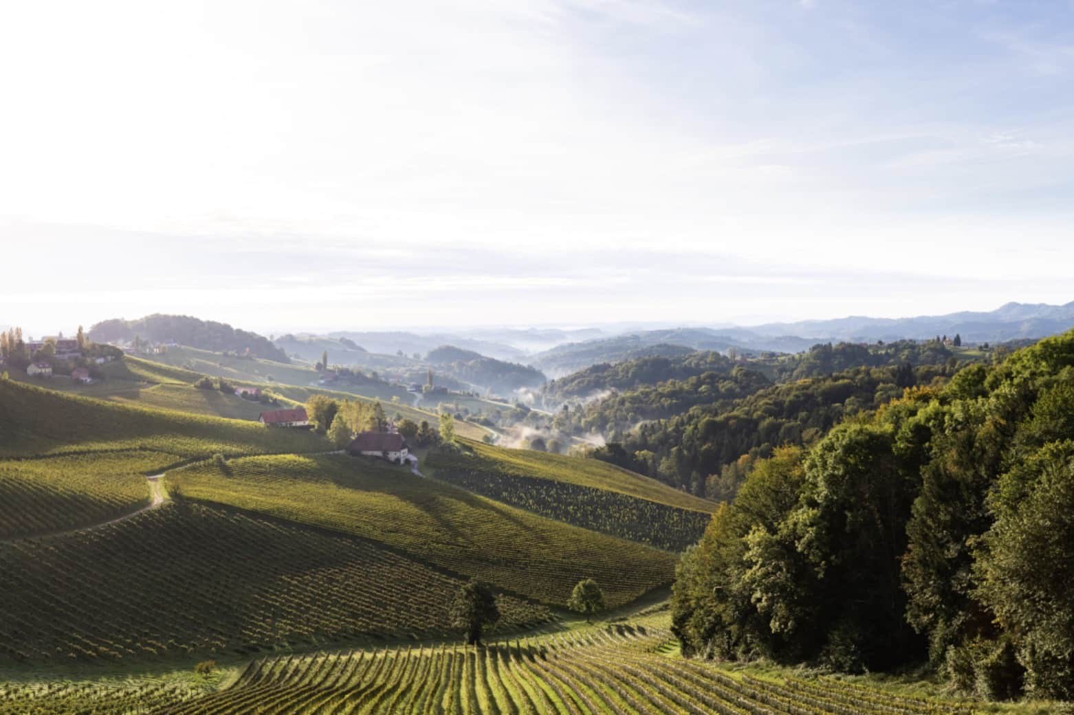 Steiermark (c)Stiefkind Fotografie.jpg